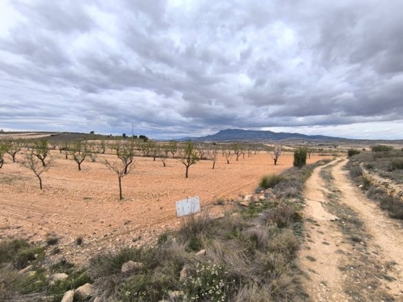 Land in Pinoso - Caza De Casa