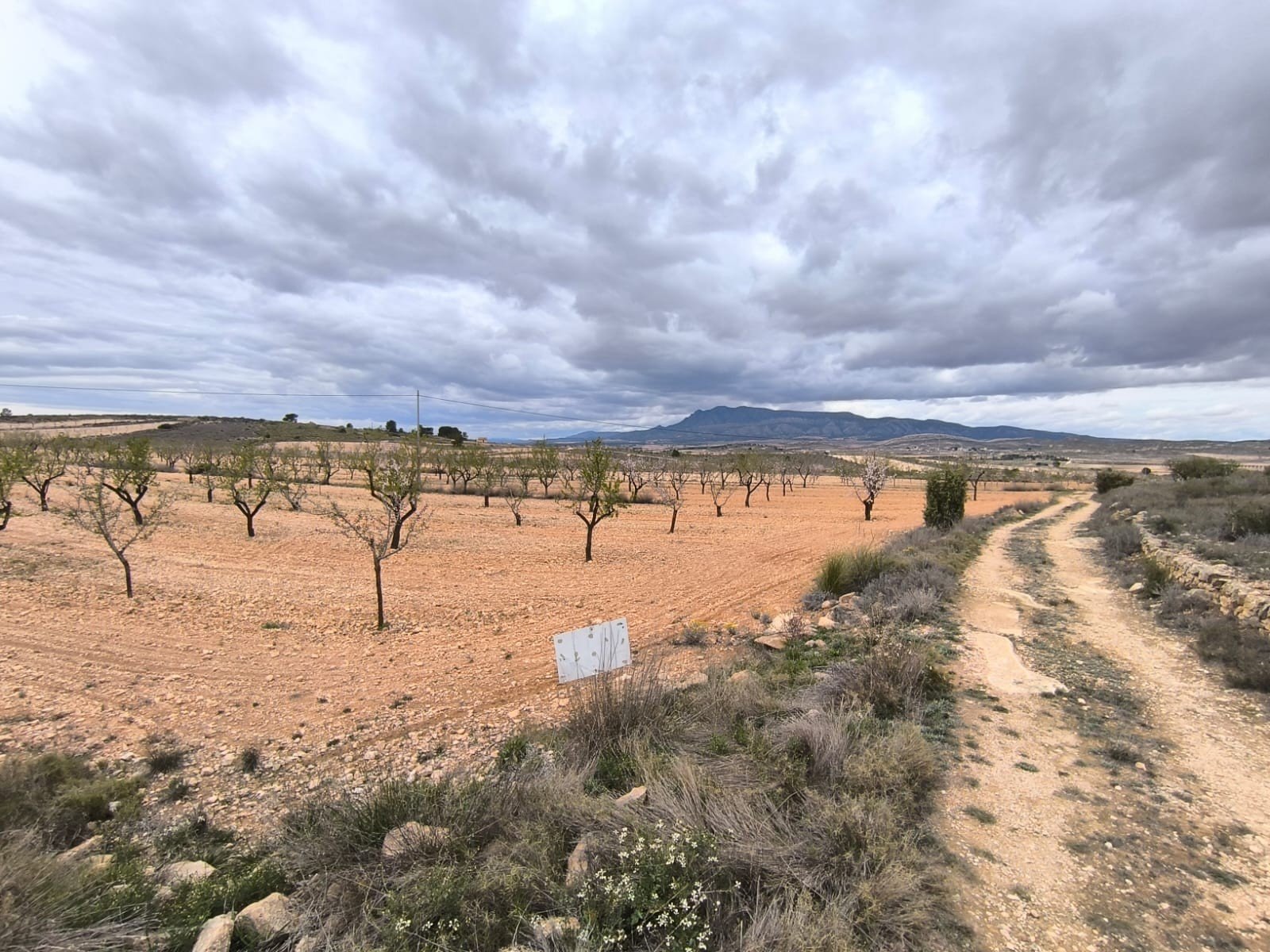 Land in Pinoso - Caza De Casa