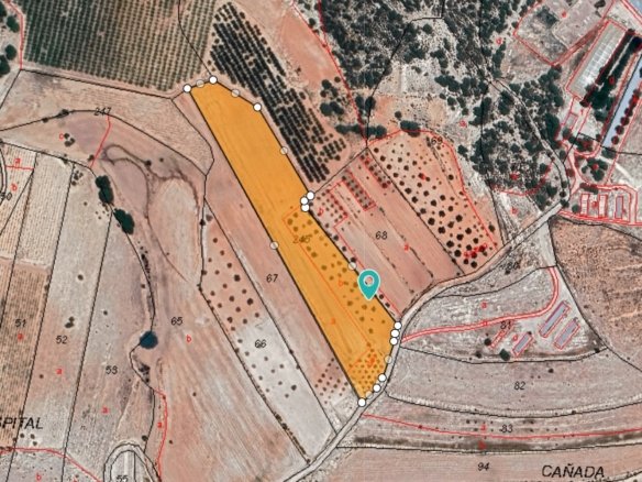 17,098 m² Land in Monóvar/Monóver - Caza De Casa