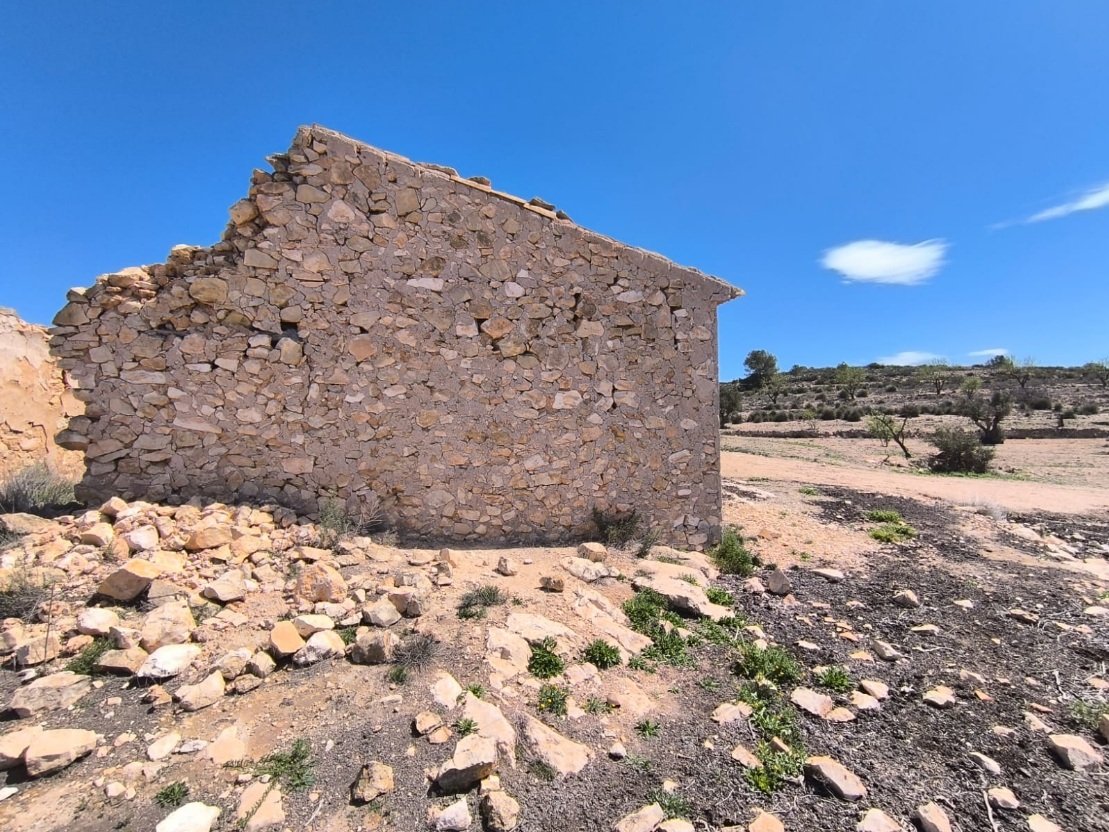 2 Bed 1 Bath Other in Rodriguillo - Caza De Casa