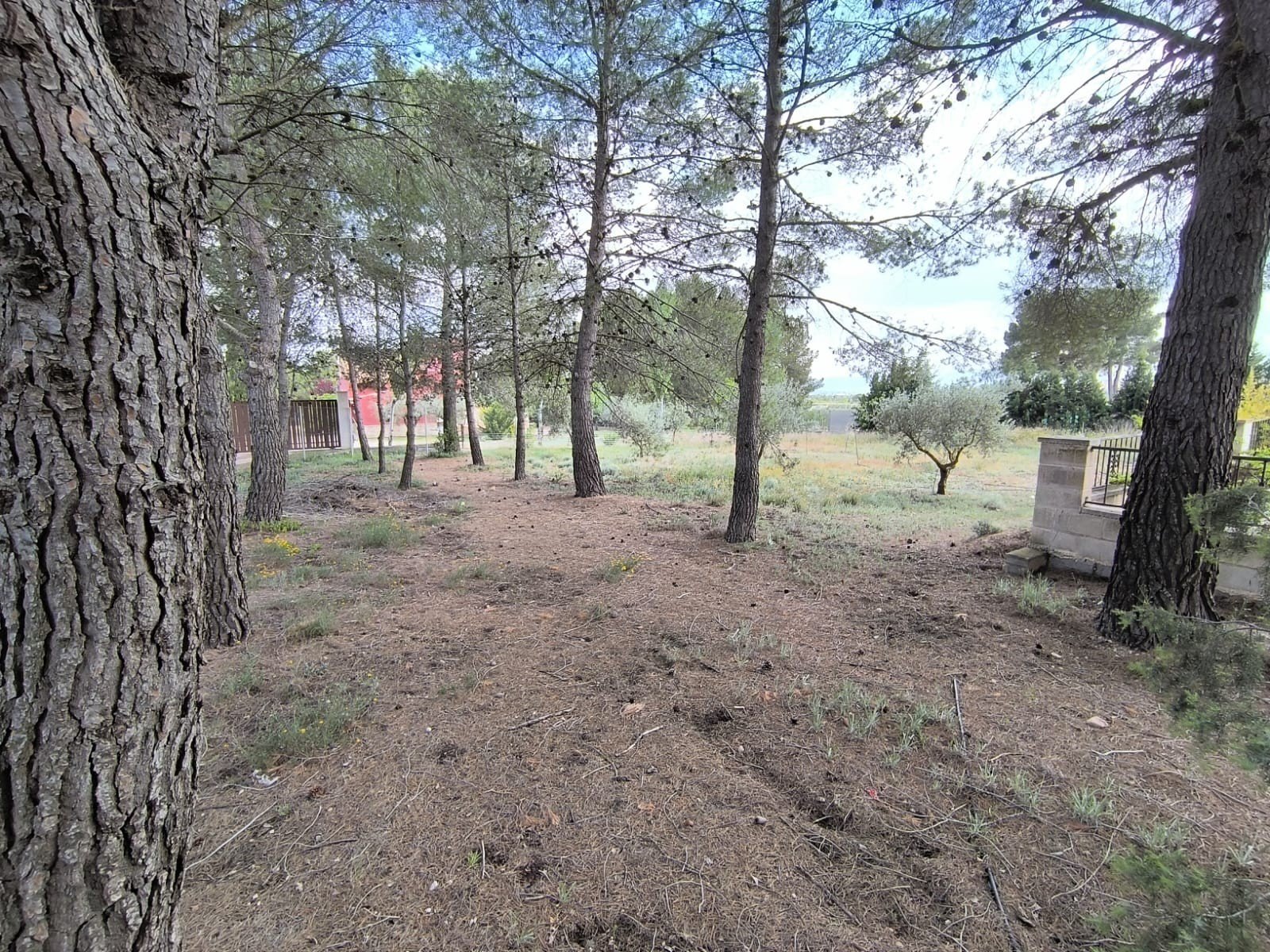 5 Bedroom 2 Bathroom Villa in Yecla - Caza De Casa