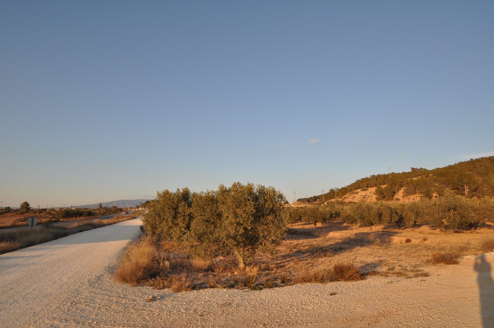 13,020 m² Land in Pinoso - Caza De Casa