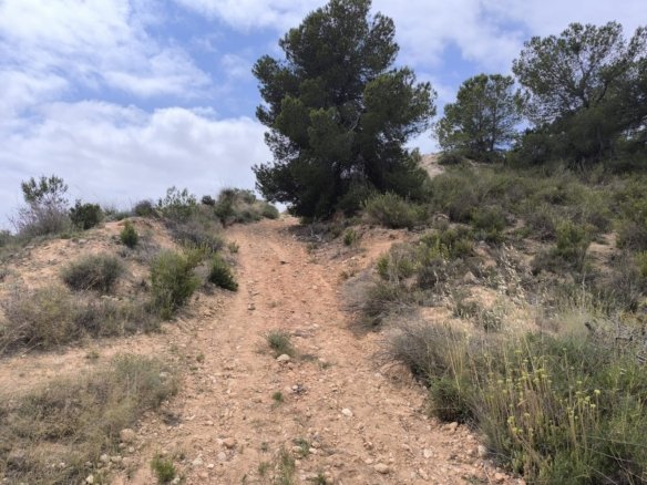 29,575 m² Land in Pinoso - Caza De Casa