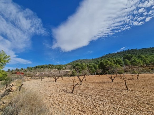 Land in Pinoso - Caza De Casa