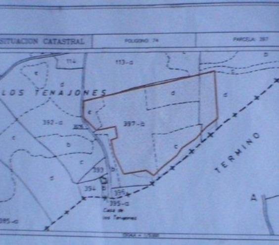 Land in Abanilla - Caza De Casa