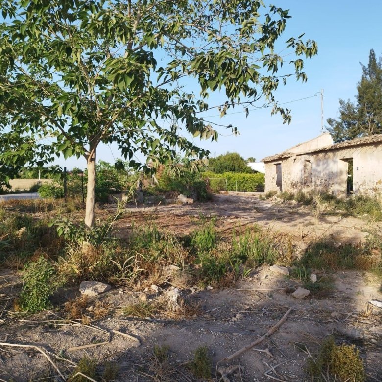 5,000 m² Land in Catral - Caza De Casa