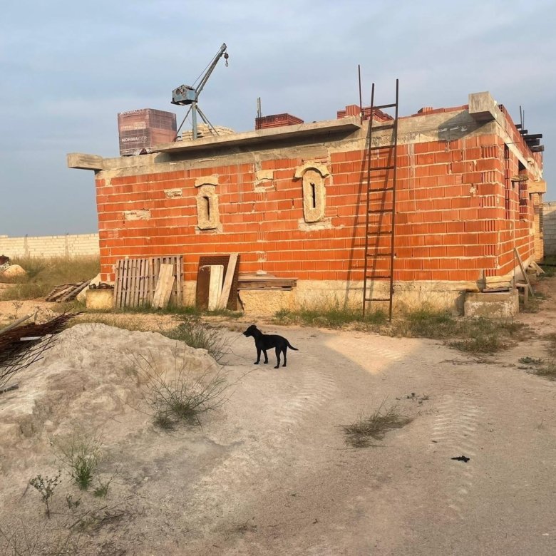 19,000 m² Land in Orihuela - Caza De Casa