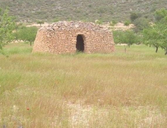 65,000 m² Land in Abanilla - Caza De Casa