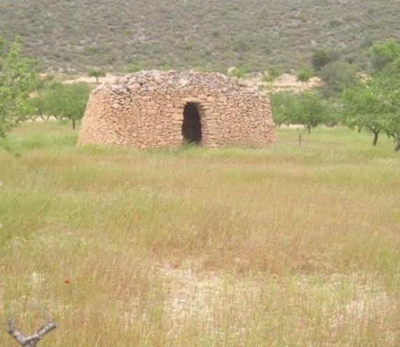 65,000 m² Land in Abanilla - Caza De Casa