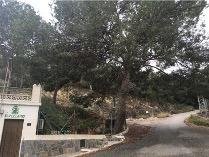 12,000 m² Land in Orihuela - Caza De Casa