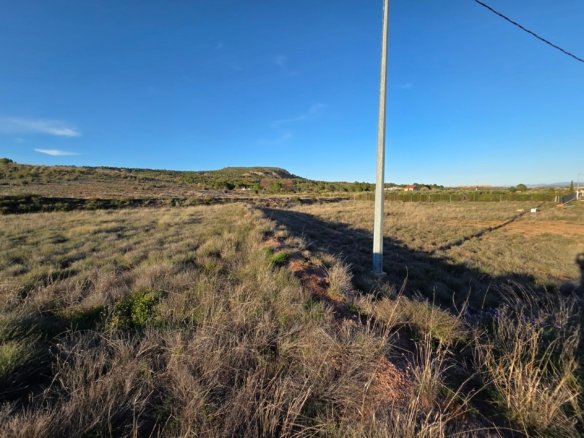 40,000 m² Land in Yecla - Caza De Casa