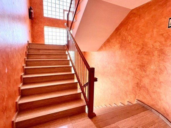 33 Bed Commercial in Los Montesinos - Caza De Casa