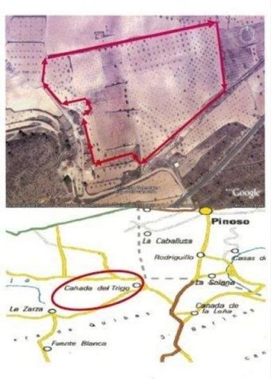 65,000 m² Land in Abanilla - Caza De Casa