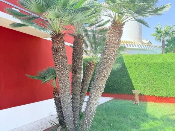 5 Bed 3 Bath Villa in Campoamor - Caza De Casa
