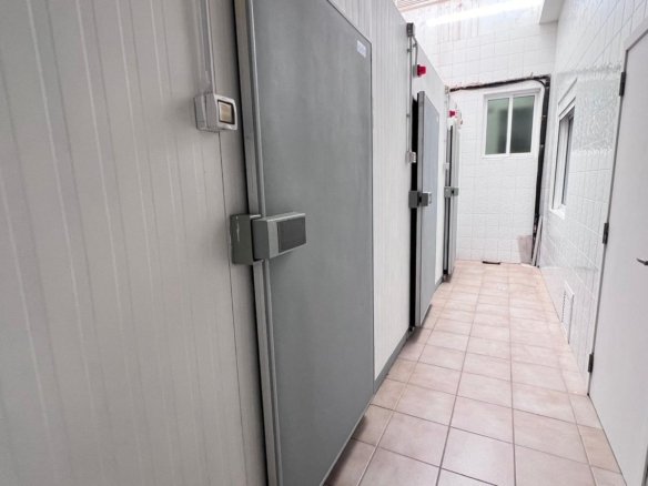33 Bed Commercial in Los Montesinos - Caza De Casa