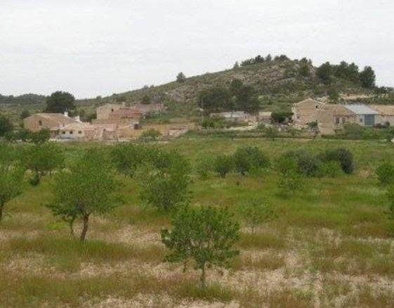 65,000 m² Land in Abanilla - Caza De Casa