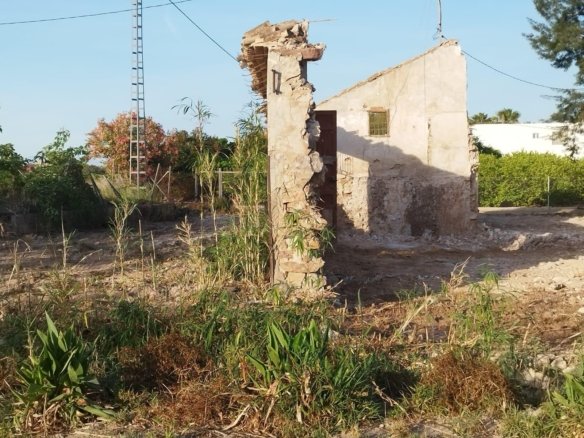 5,000 m² Land in Catral - Caza De Casa