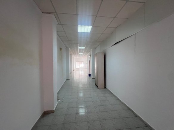 Commercial in Torrevieja - Caza De Casa