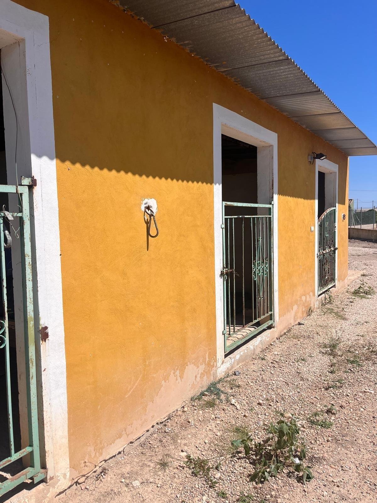 2 Bedroom 1 Bathroom Finca in Daya Nueva - Caza De Casa