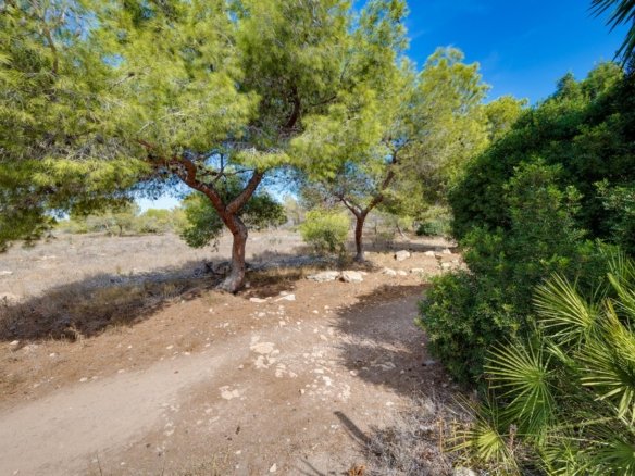 1 Bedroom 1 Bathroom Town House in Torrevieja - Caza De Casa