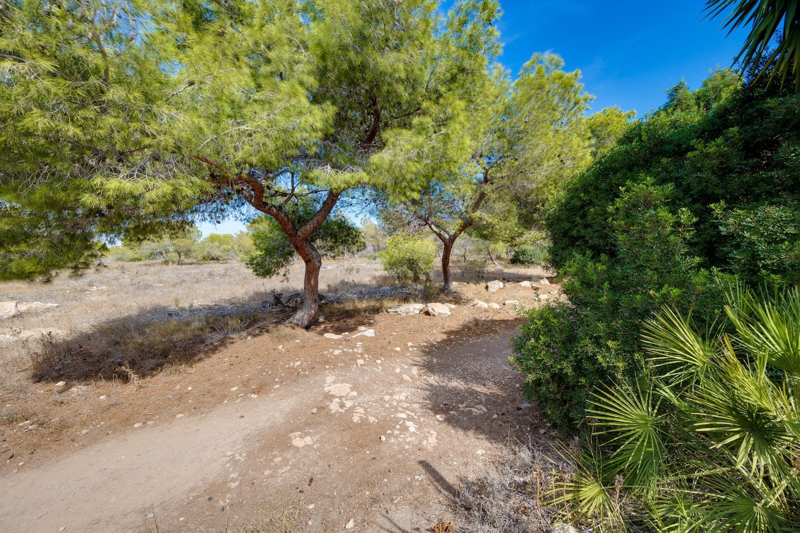 1 Bedroom 1 Bathroom Town House in Torrevieja - Caza De Casa