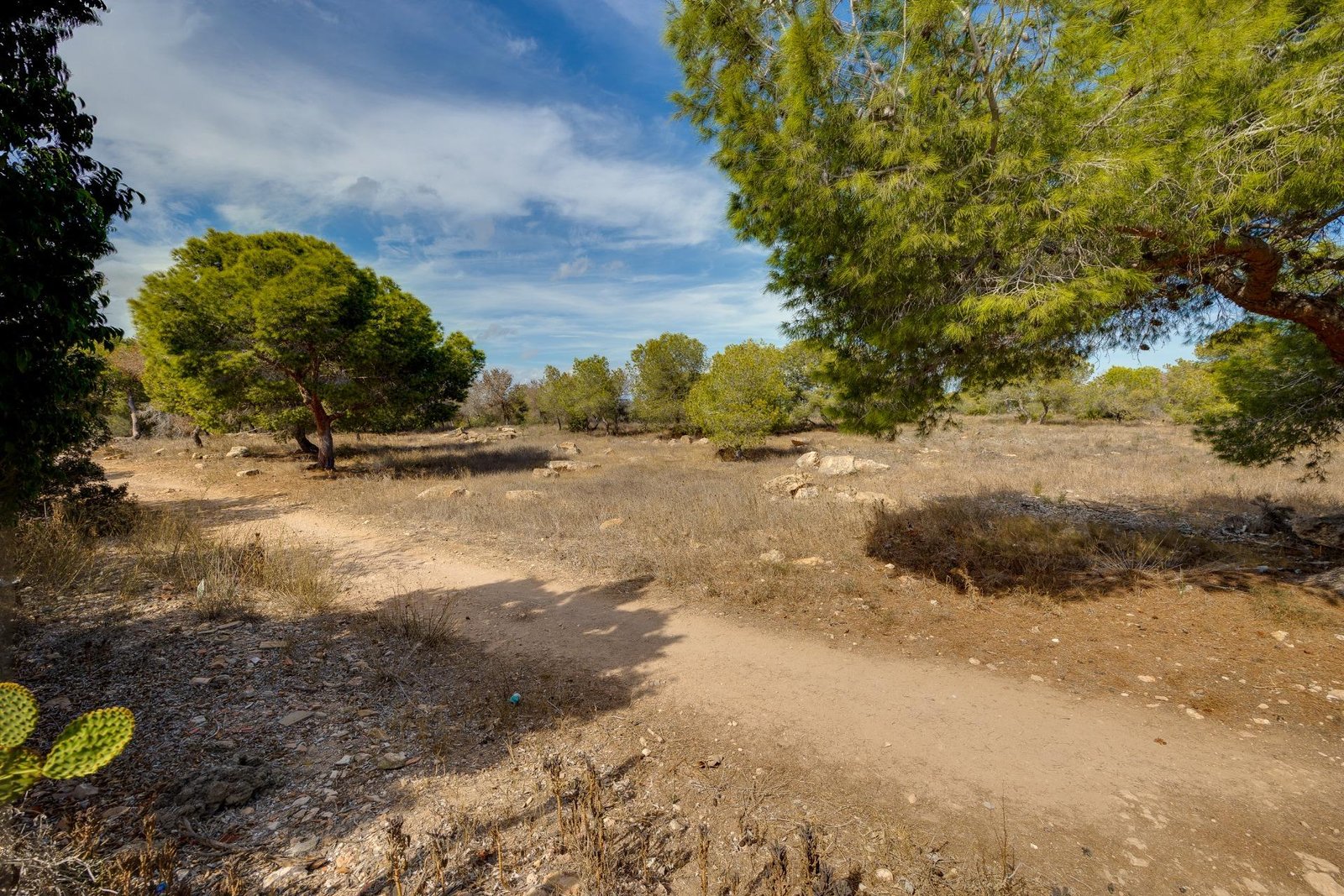 1 Bedroom 1 Bathroom Town House in Torrevieja - Caza De Casa