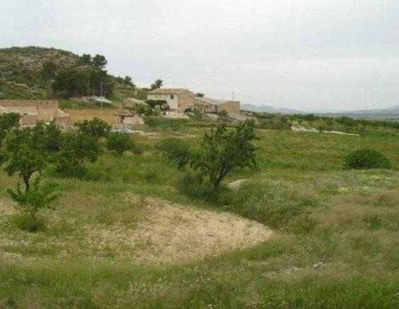 65,000 m² Land in Abanilla - Caza De Casa