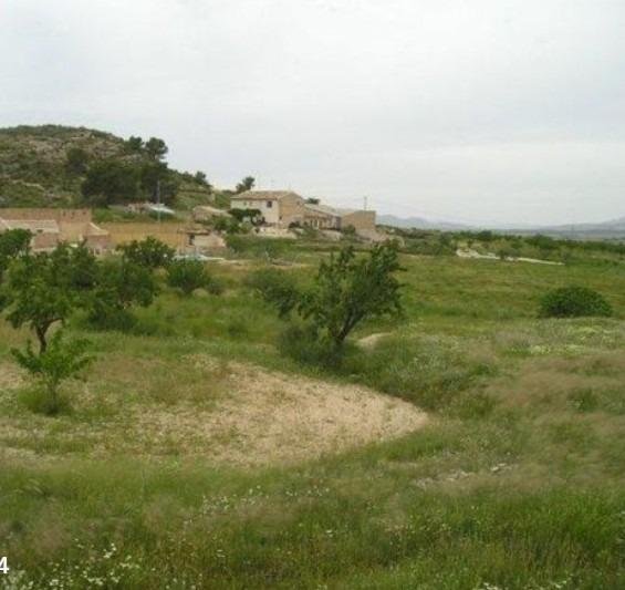 65,000 m² Land in Abanilla - Caza De Casa
