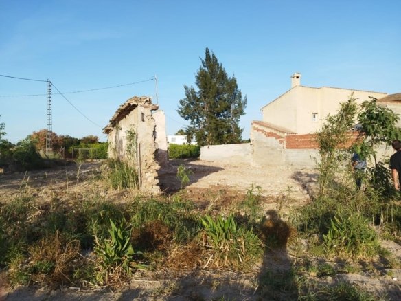 5,000 m² Land in Catral - Caza De Casa