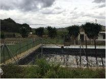 12,000 m² Land in Orihuela - Caza De Casa