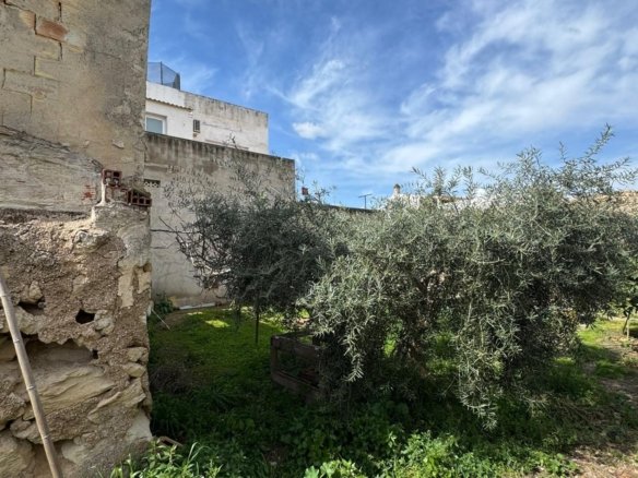 550 m² Land in Jacarilla - Caza De Casa