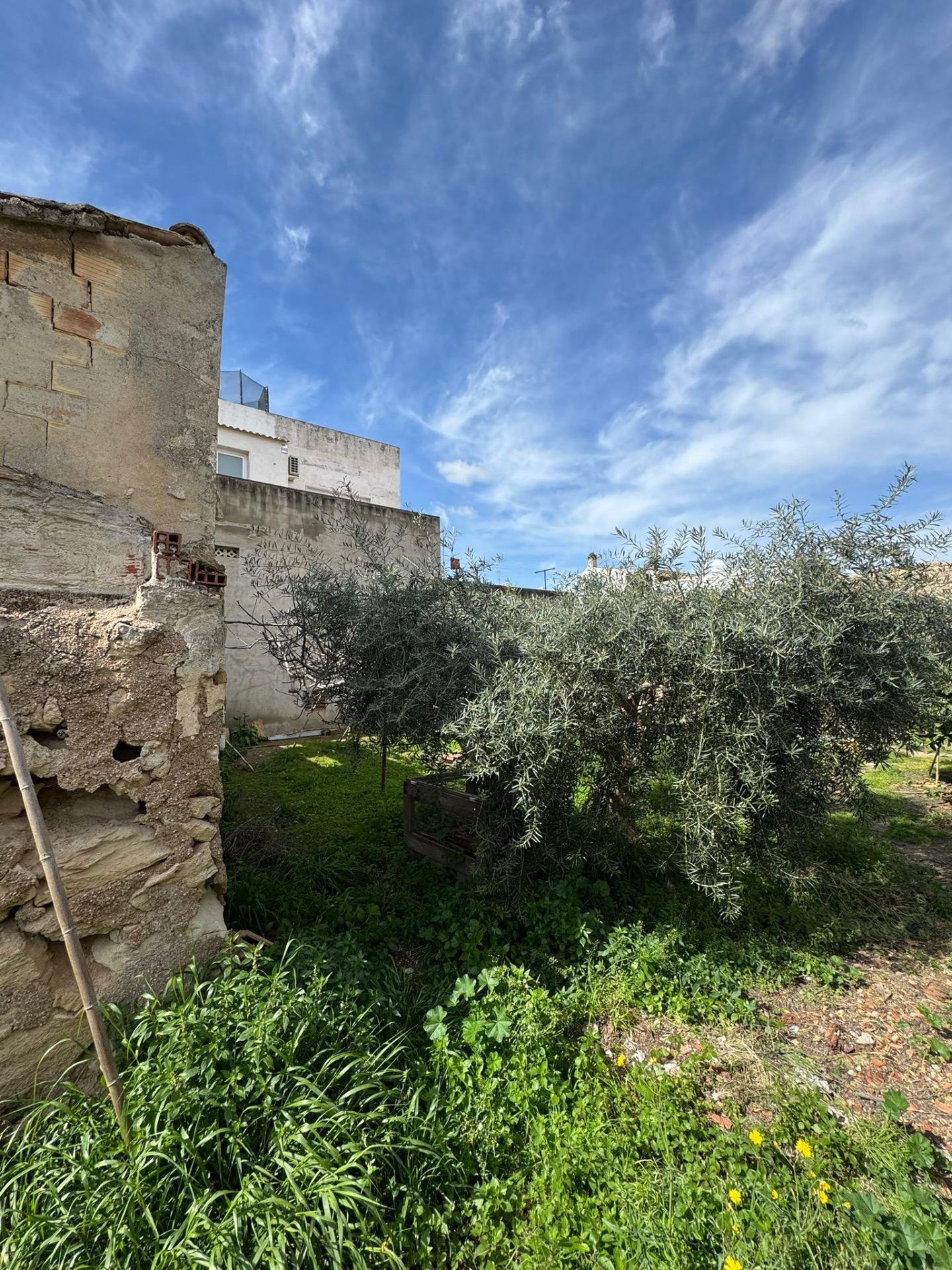 550 m² Land in Jacarilla - Caza De Casa
