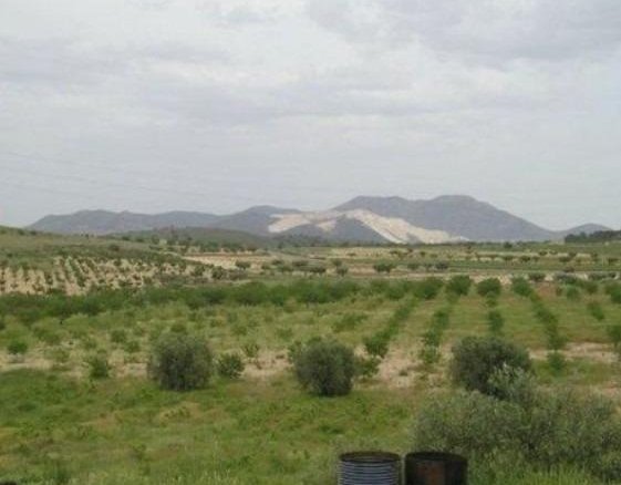 65,000 m² Land in Abanilla - Caza De Casa