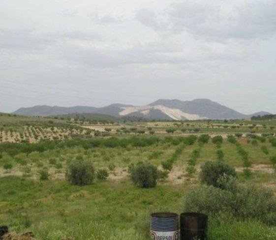 65,000 m² Land in Abanilla - Caza De Casa