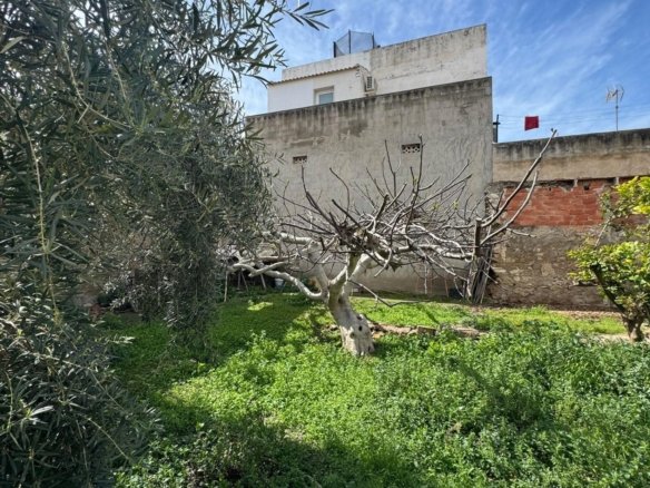 550 m² Land in Jacarilla - Caza De Casa