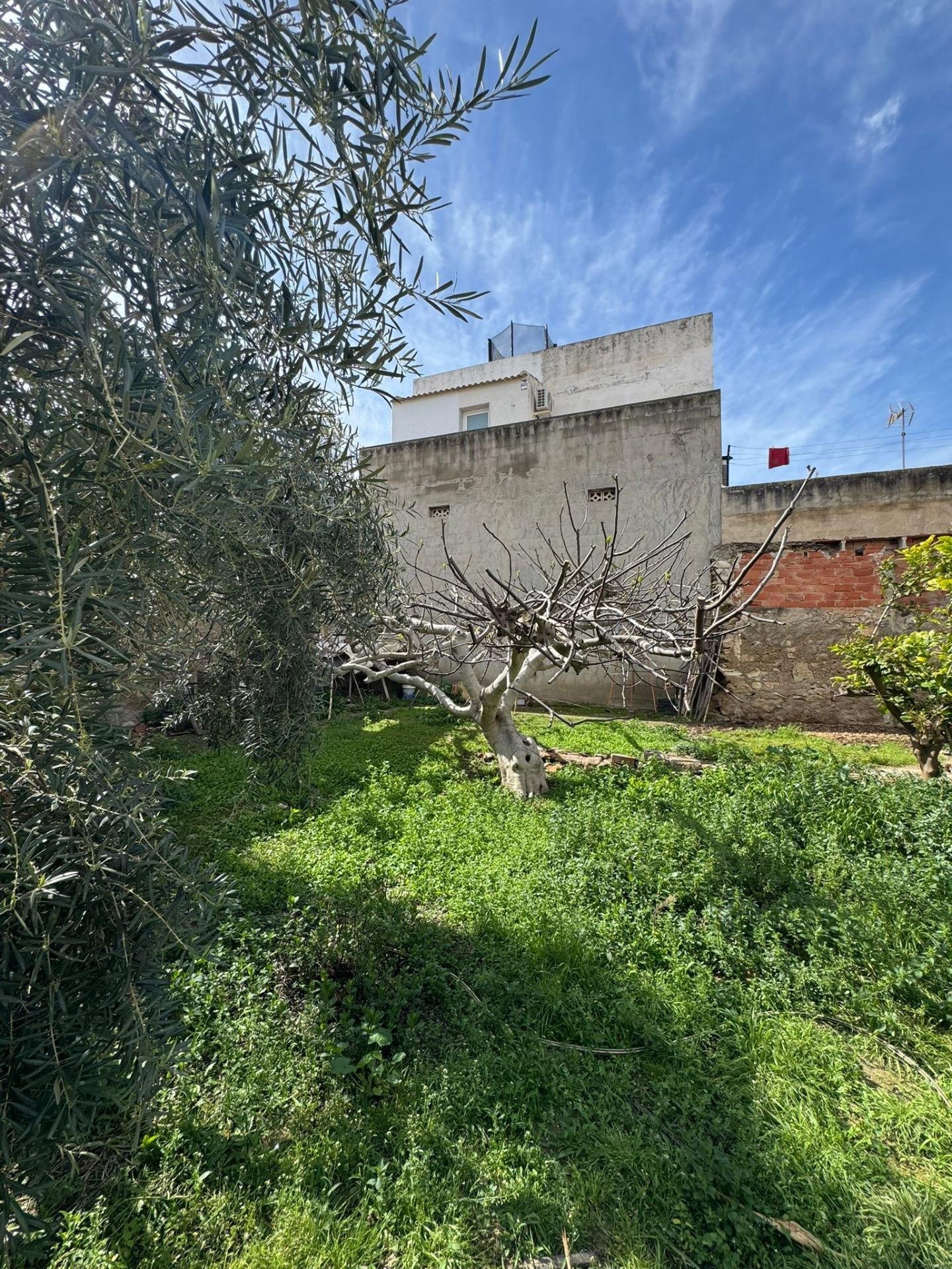 550 m² Land in Jacarilla - Caza De Casa