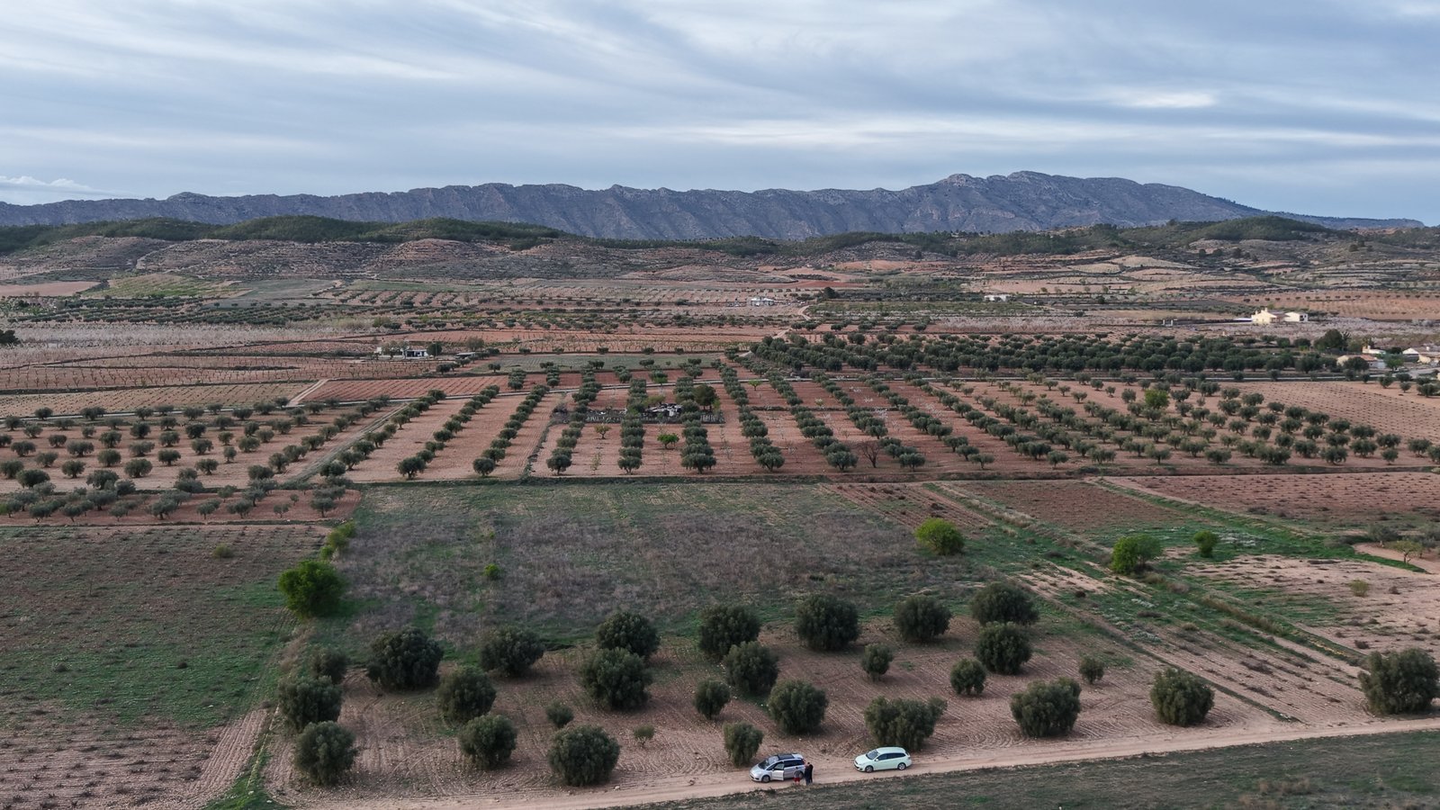 13,701 m² Land in Jumilla - Caza De Casa