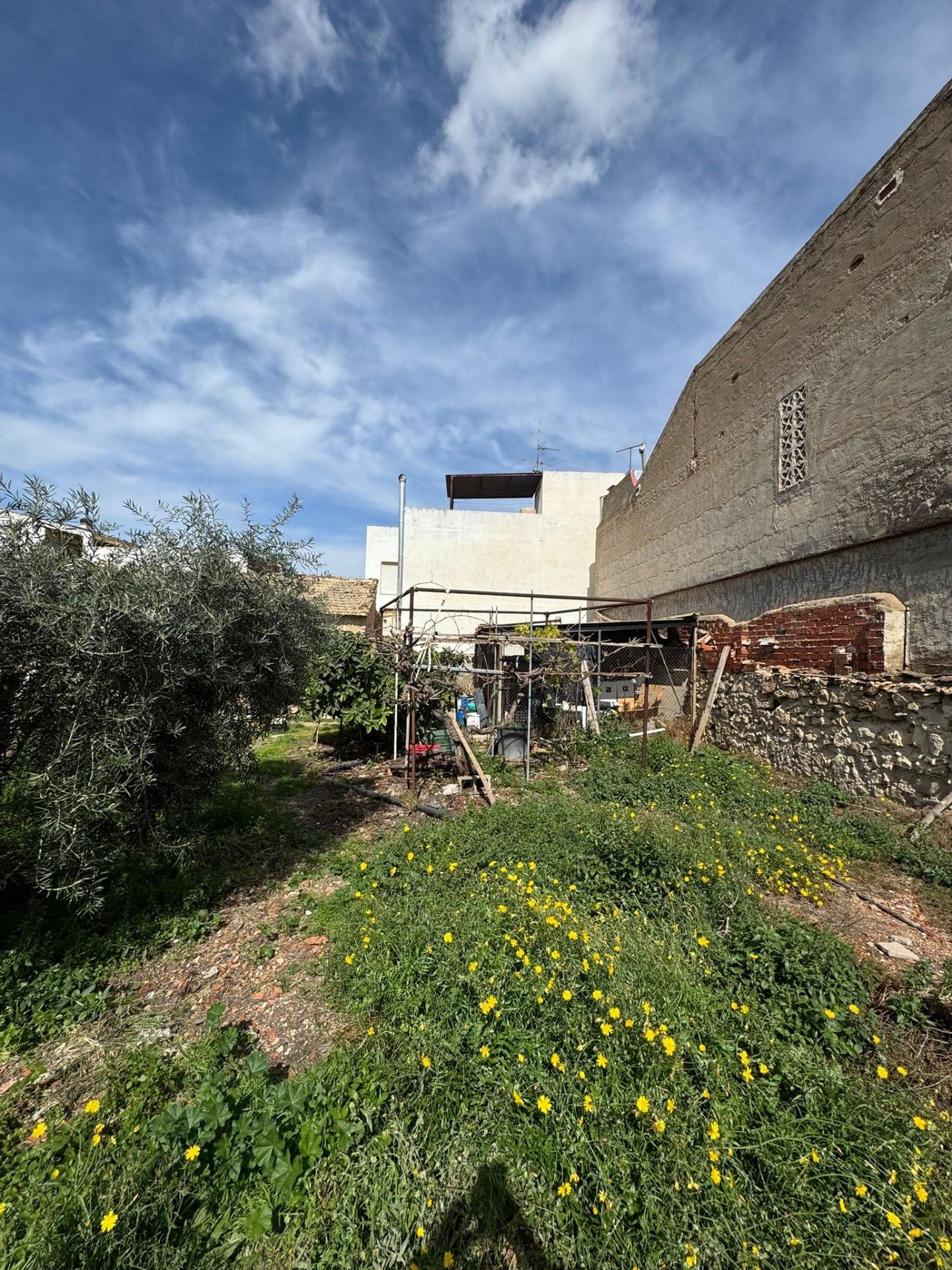 550 m² Land in Jacarilla - Caza De Casa