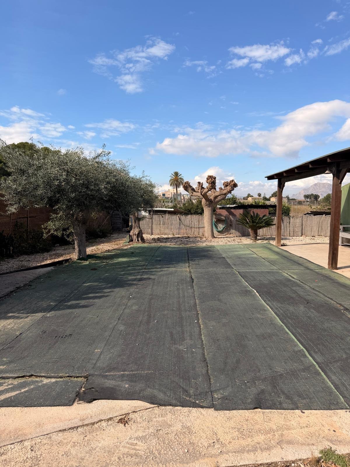 Finca in Almoradi - Caza De Casa