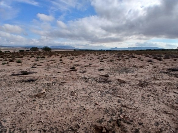 600 m² Land in Yecla - Caza De Casa