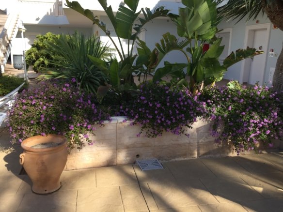 2 Bedroom apartment in Benissa - Caza De Casa