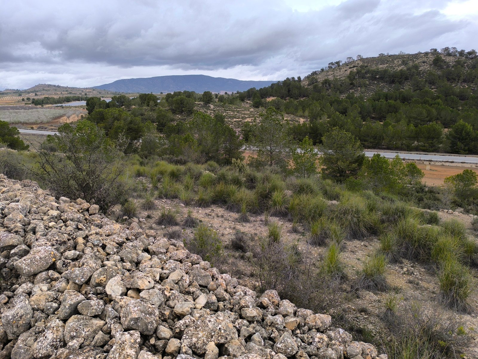 14,595 m² Land in Chinorlet - Caza De Casa