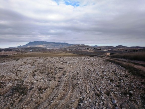160,000 m² Land in Torre Del Rico - Caza De Casa