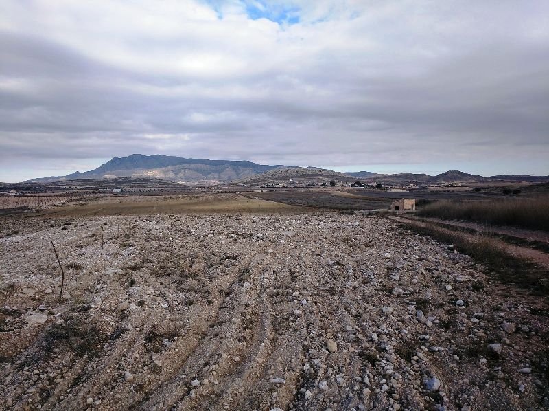 160,000 m² Land in Torre Del Rico - Caza De Casa