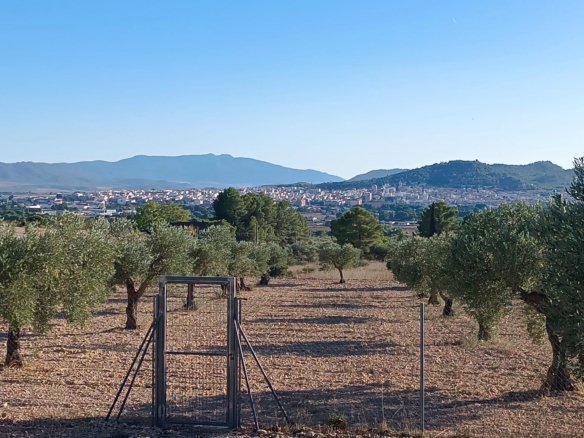 5 Bedroom 2 Bathroom Country House in Yecla - Caza De Casa