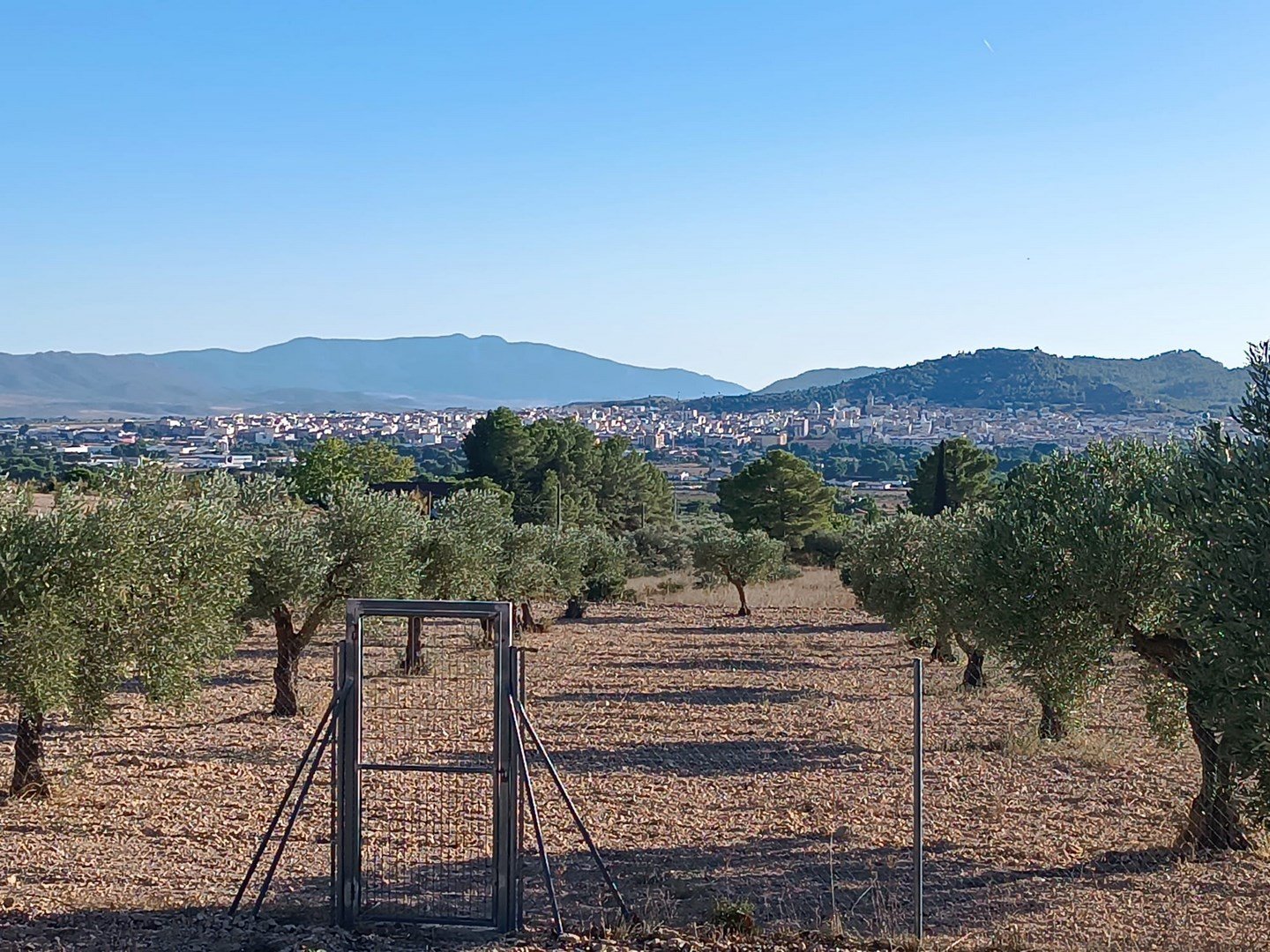 5 Bedroom 2 Bathroom Country House in Yecla - Caza De Casa