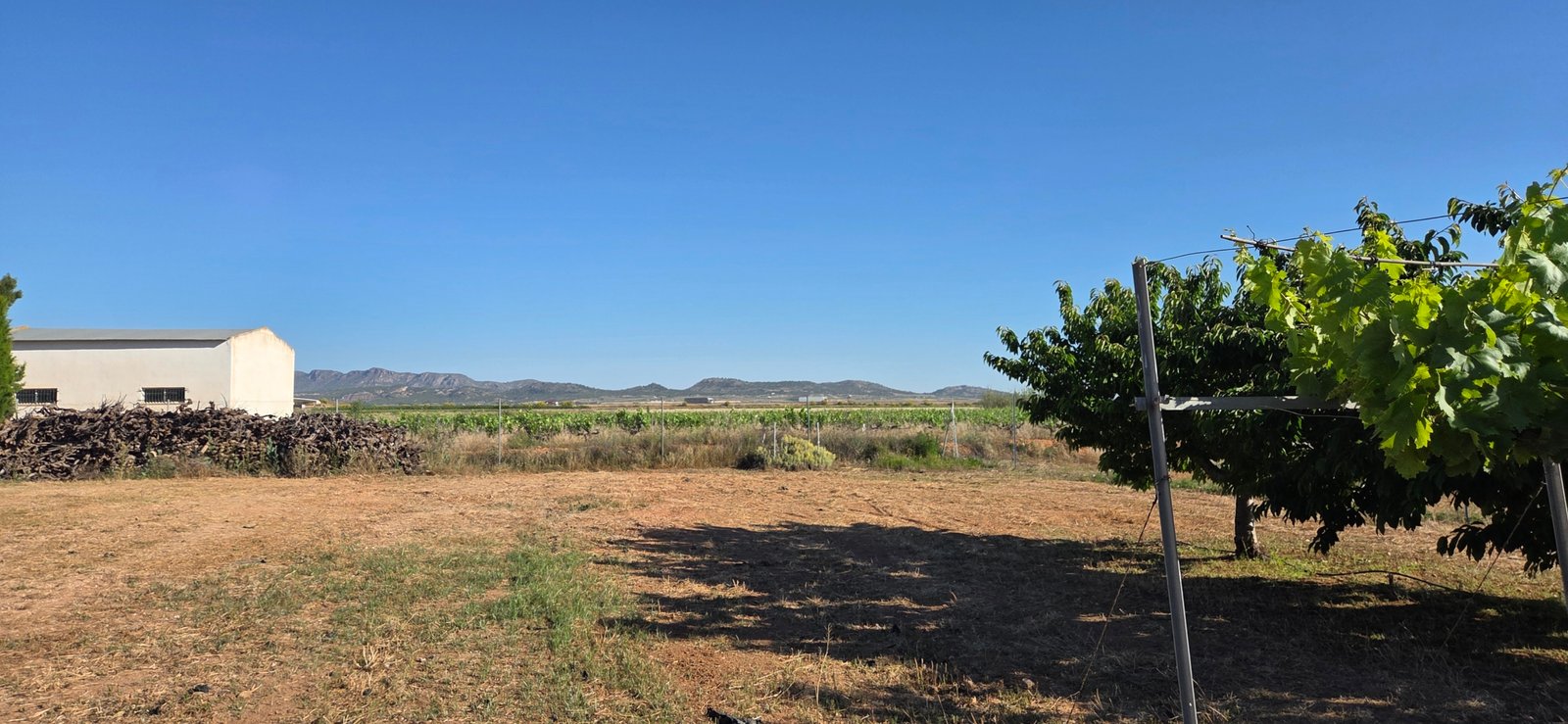 1 Bathroom Country House in Yecla - Caza De Casa