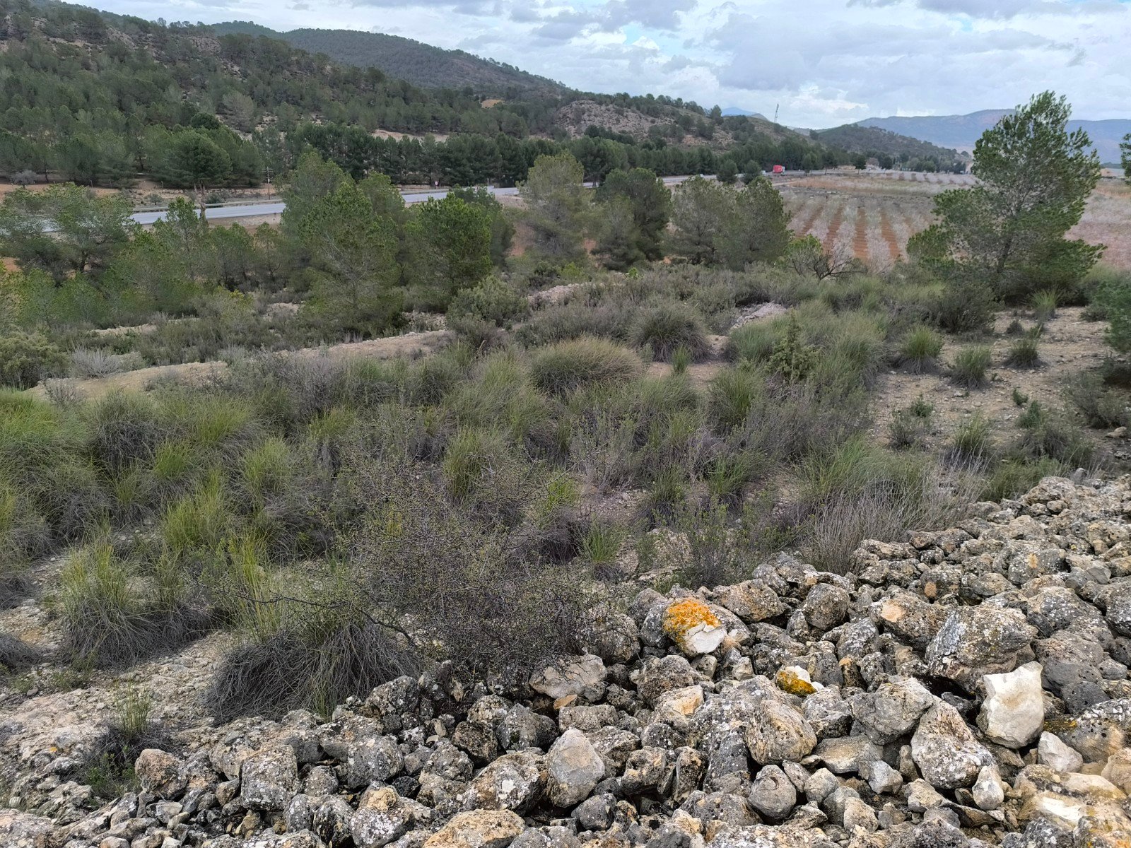 14,595 m² Land in Chinorlet - Caza De Casa