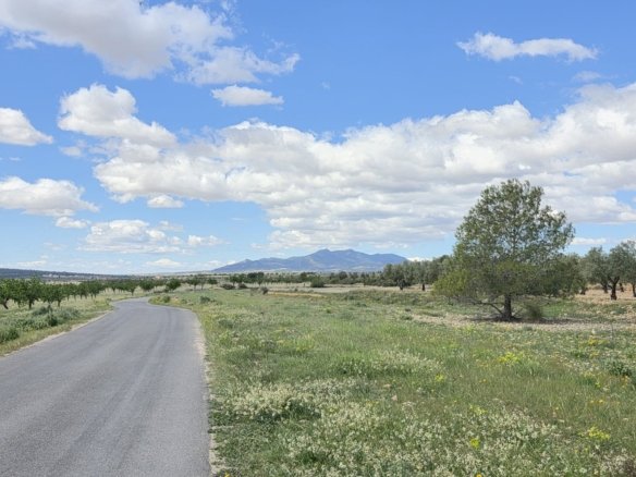Land in Monóvar/Monóver - Caza De Casa
