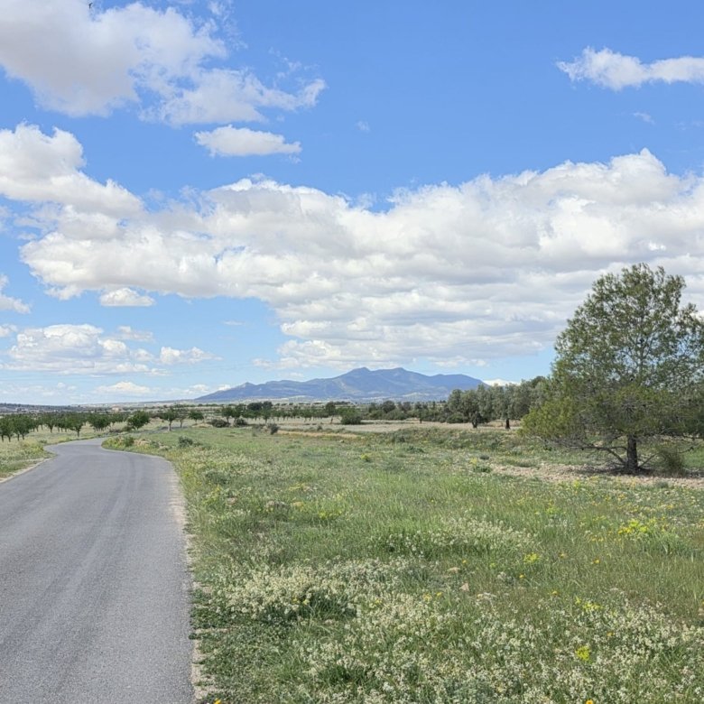 3,074 m² Land in Monóvar/Monóver - Caza De Casa